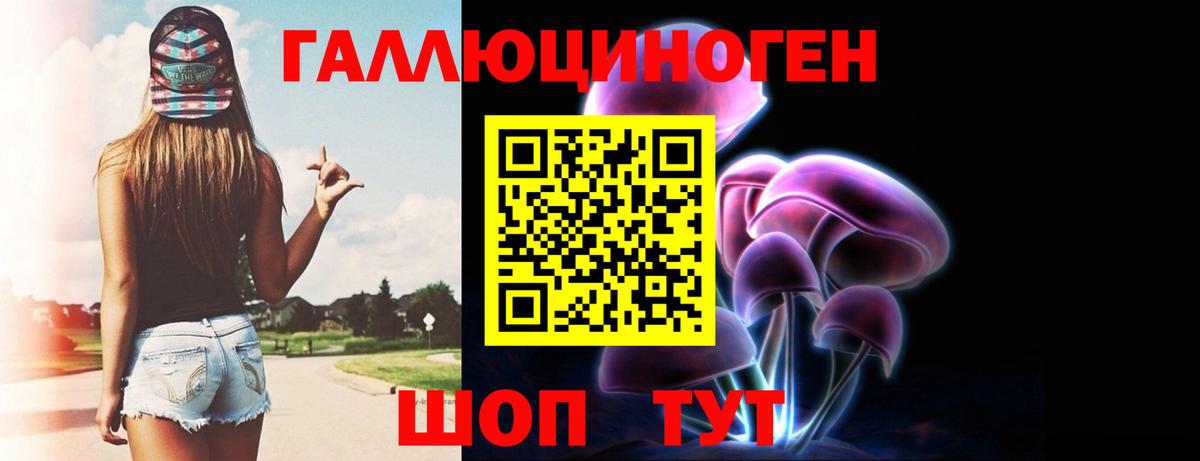 Галлюциногенные грибы GOLDEN TEACHER Владикавказ