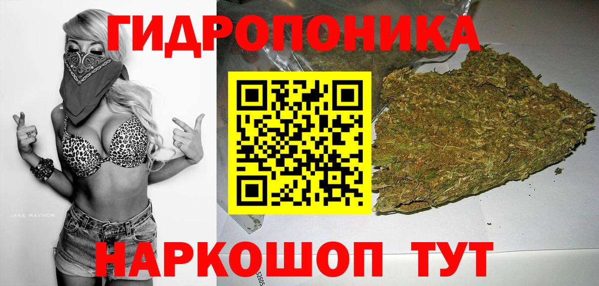 Канабис сатива Владикавказ